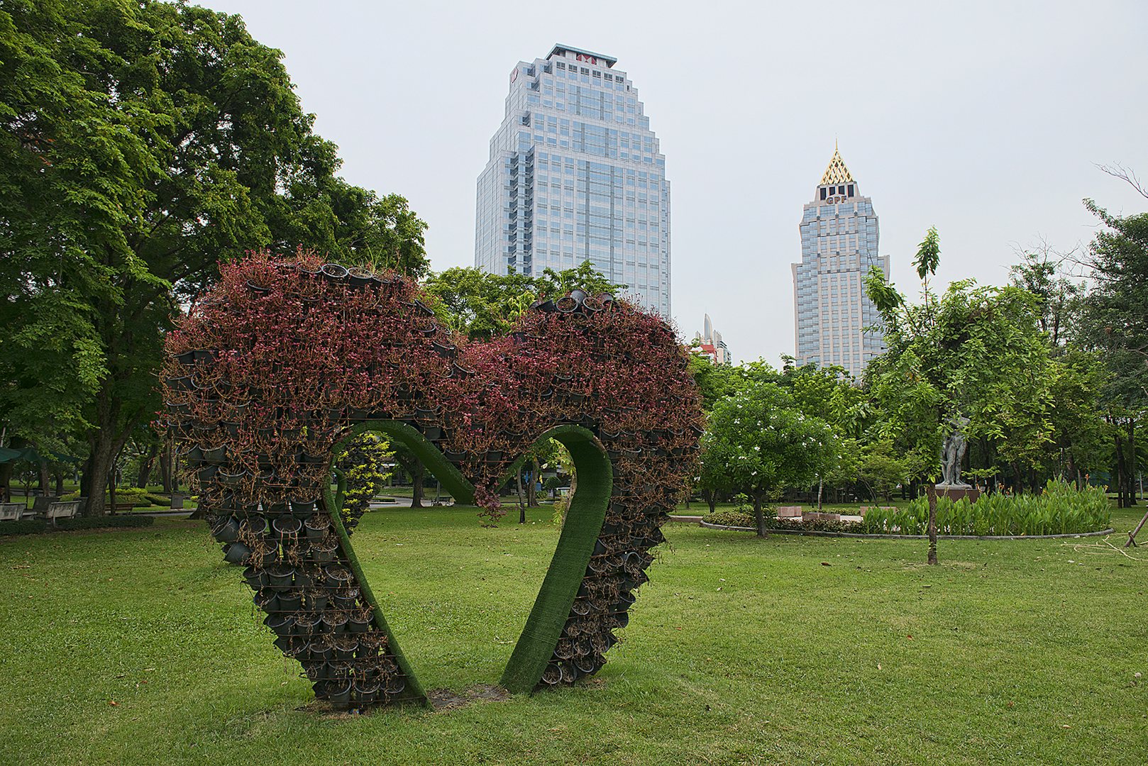 a heartshaped bush at Lumphini Park Bangkok