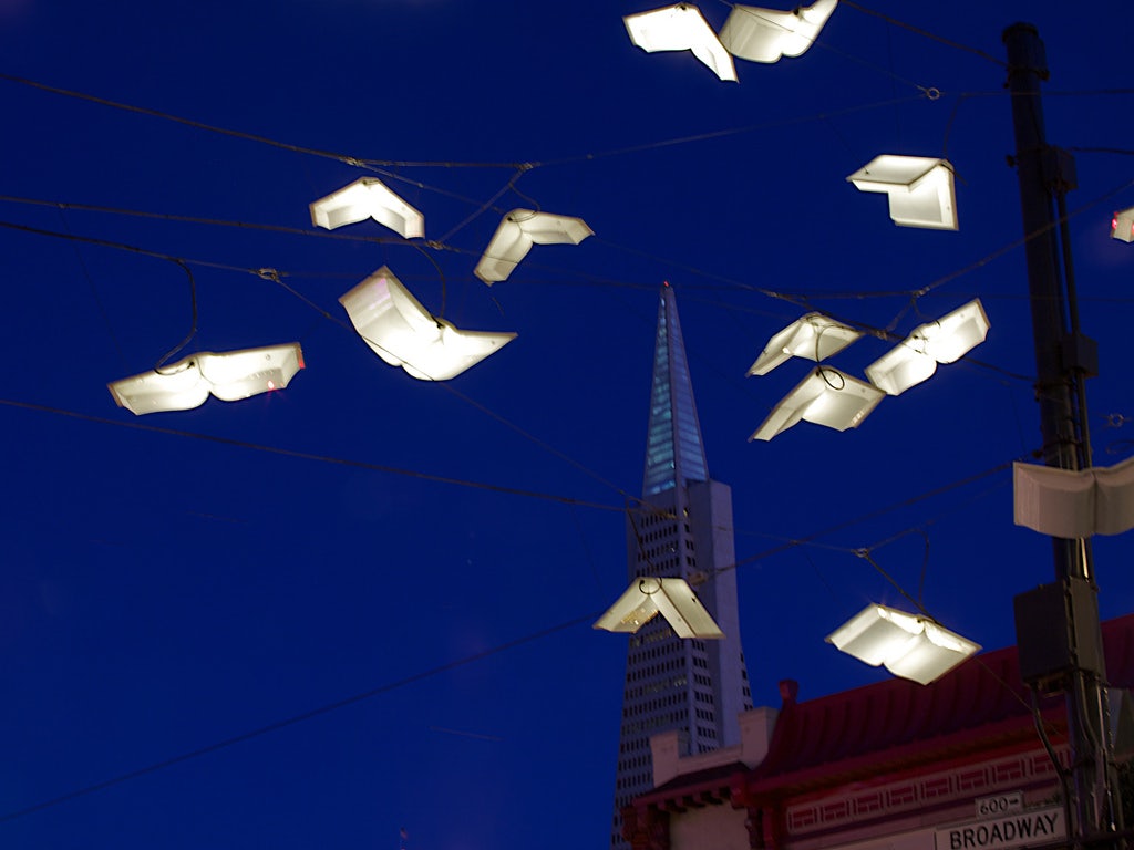 The Language of the Birds art installation