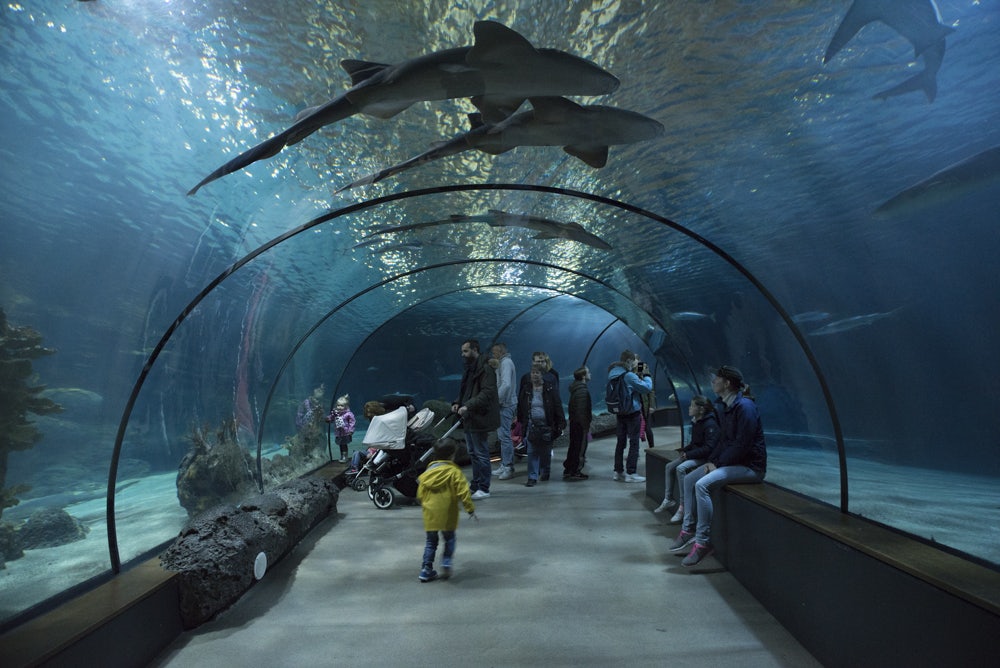 underwater tunnel at Oceanium