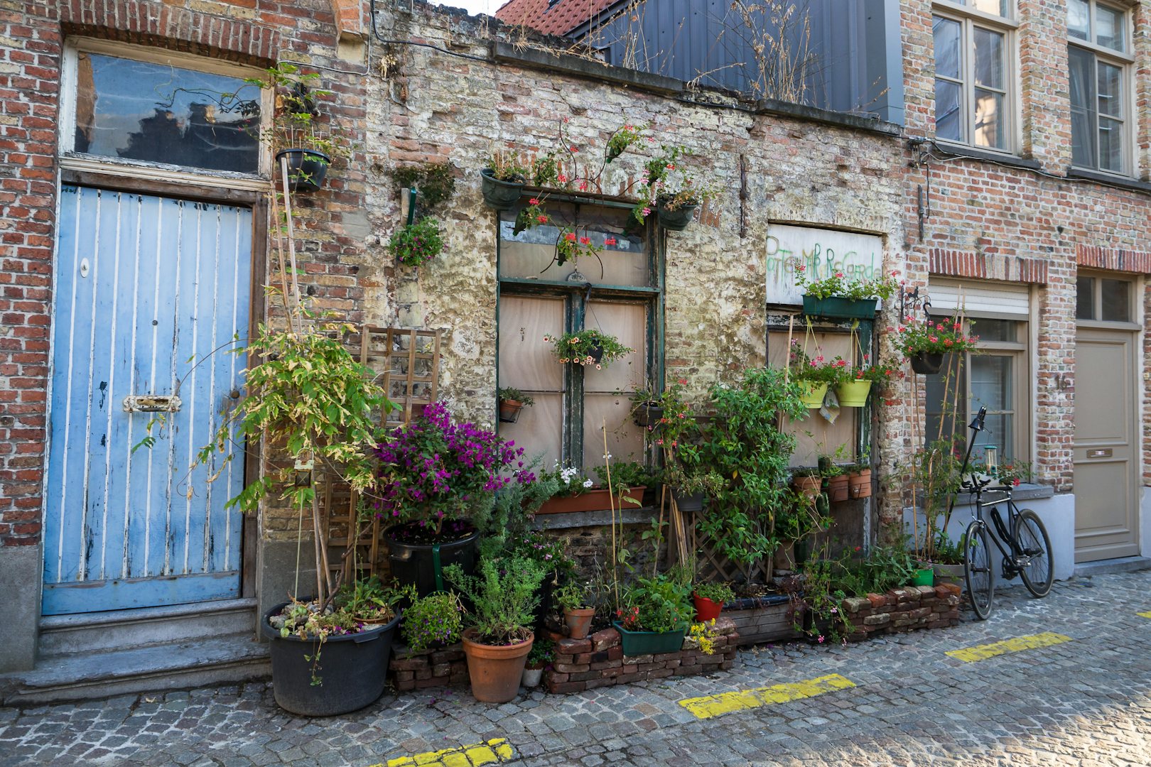 house with a blue door and plants in the Pottenmakersstraat