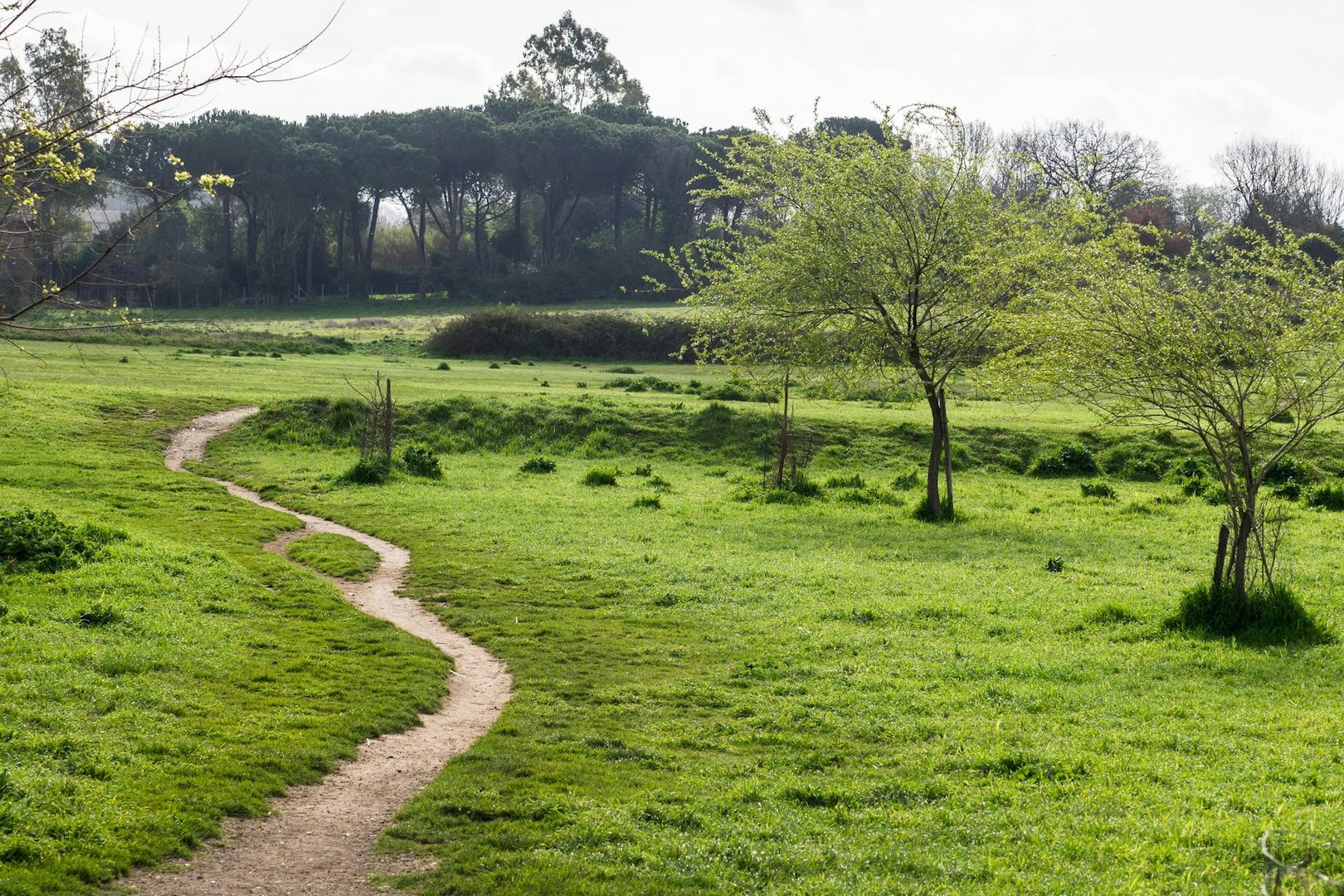 Parco della Caffarella