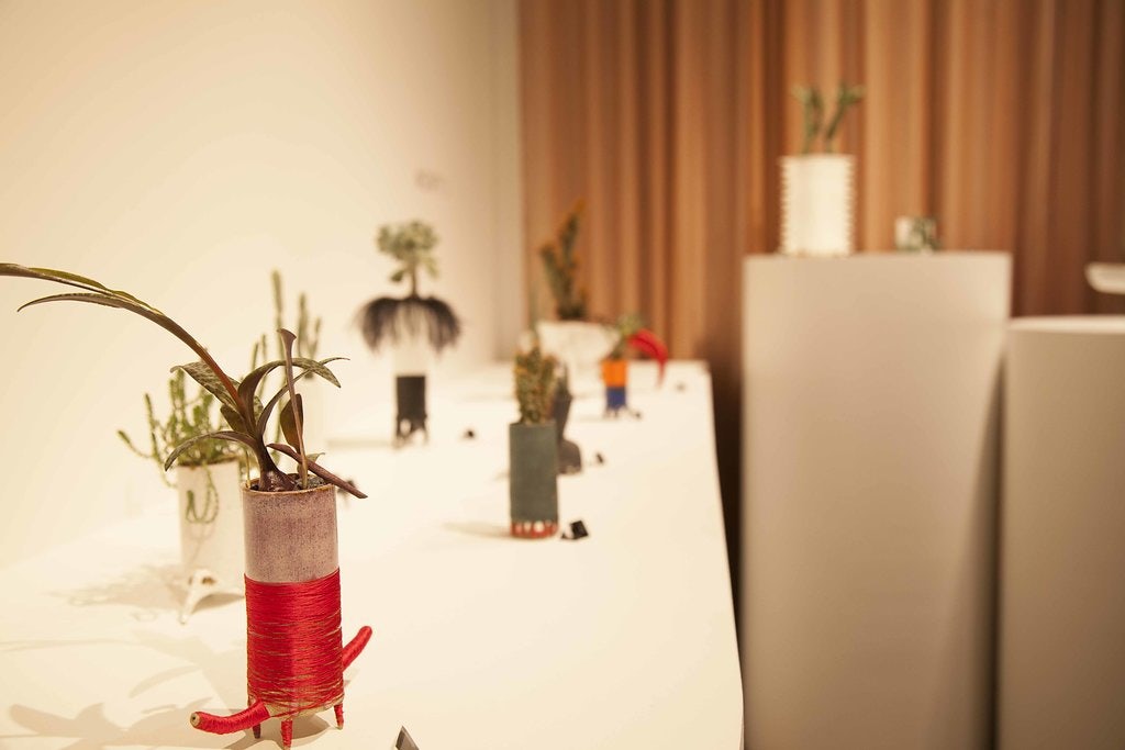 plant decorations at the Future Perfect