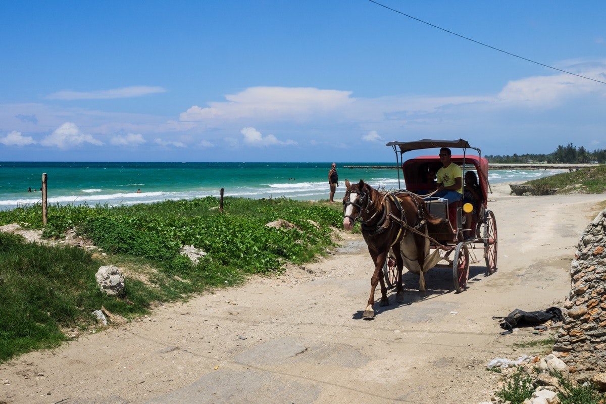 horse at Guanabo beach