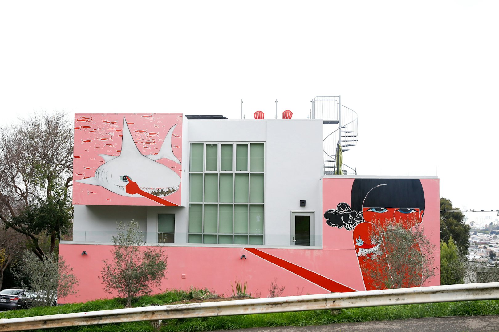House with pink and a white shark painted on