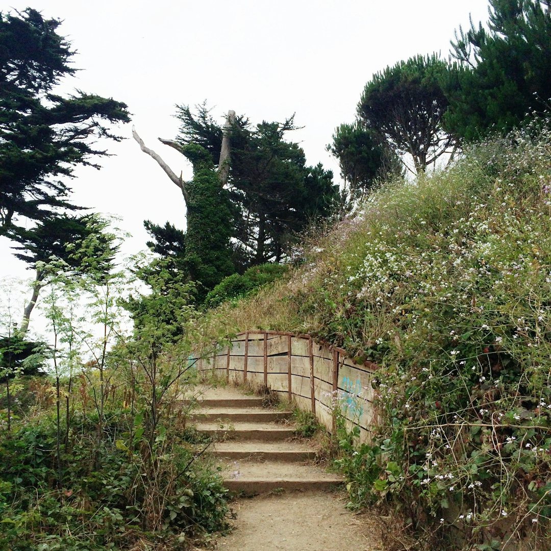  Land's End Trail in SF