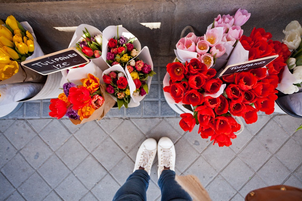 bundles of red flowers