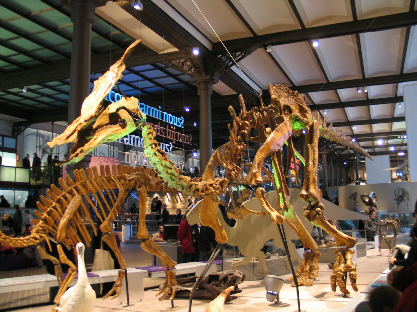 model of a dinosaur at the Brussels museum of natural sciences