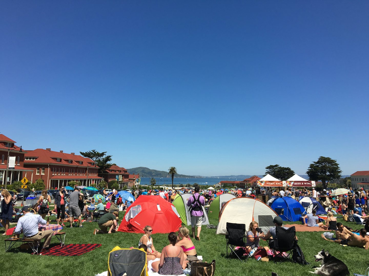 people at Presidio Picnic