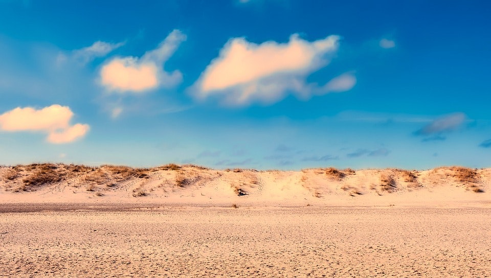 amager beach park