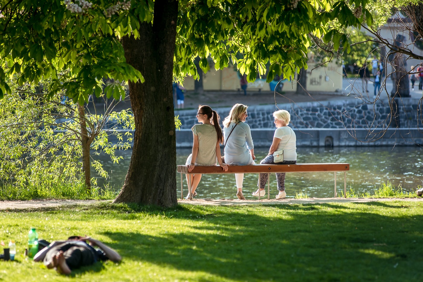 people sitting at Strelecky island