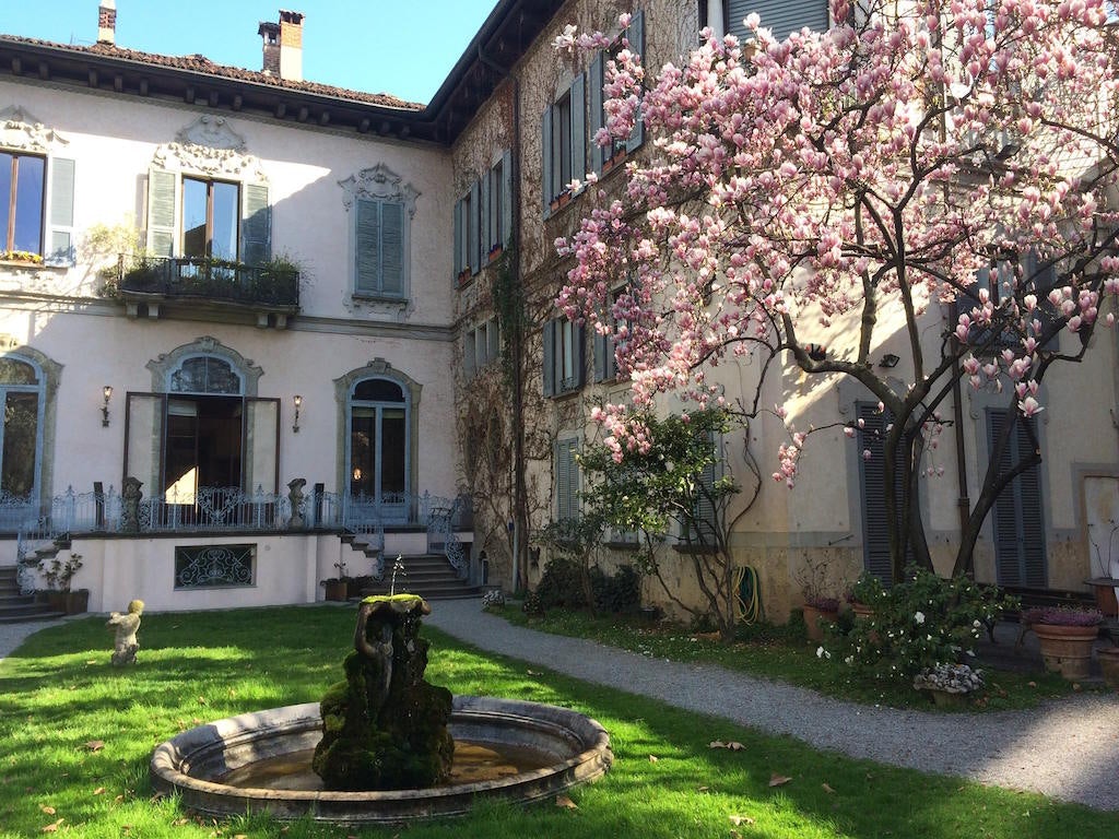 blossoming tree with pink flowers at the garden Vigna di Leonardo