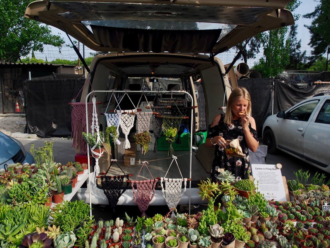 a stand with cacti and handwoven decoration at the LX Factory Sunday Market