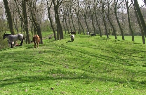 fort van beieren park