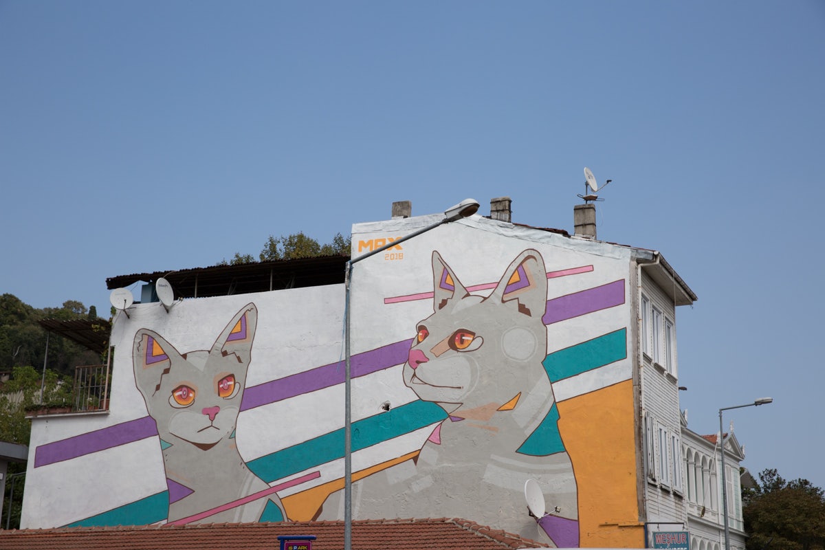 Street art of cats in Sariyer Istanbul