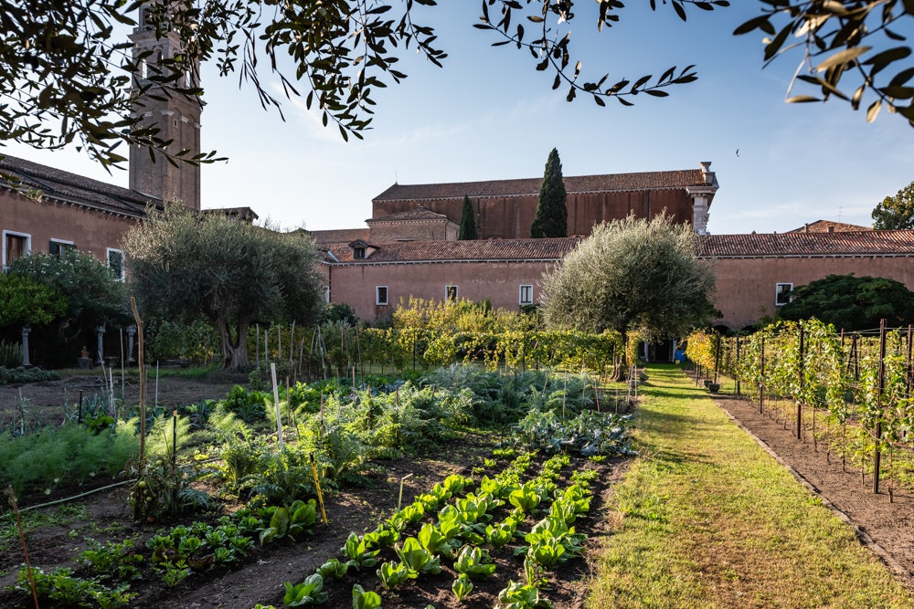 herbs and greens at the Garden of San Francesco Della Vigna Church