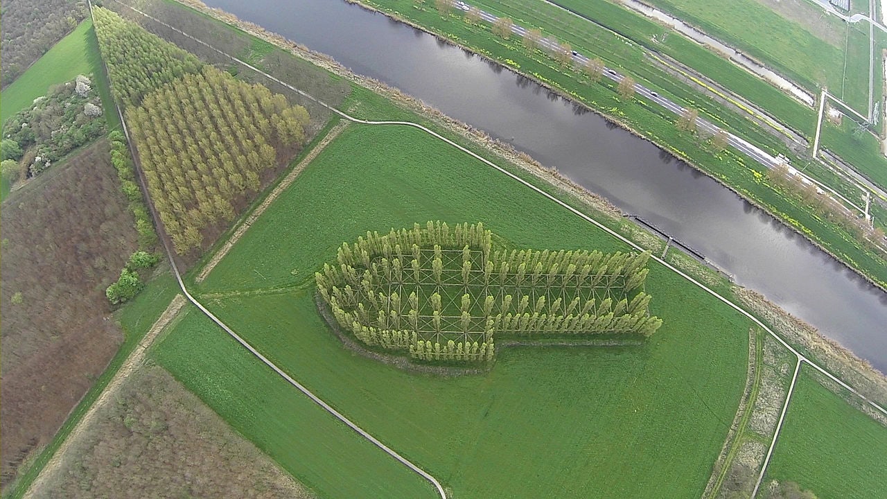 drone view of The Green Cathedral project 