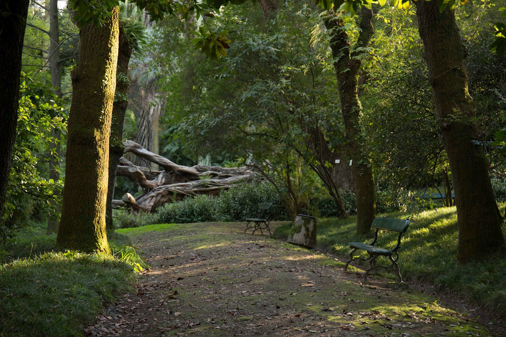 walking trail at the Jardim Botanico Tropical in Lisbon