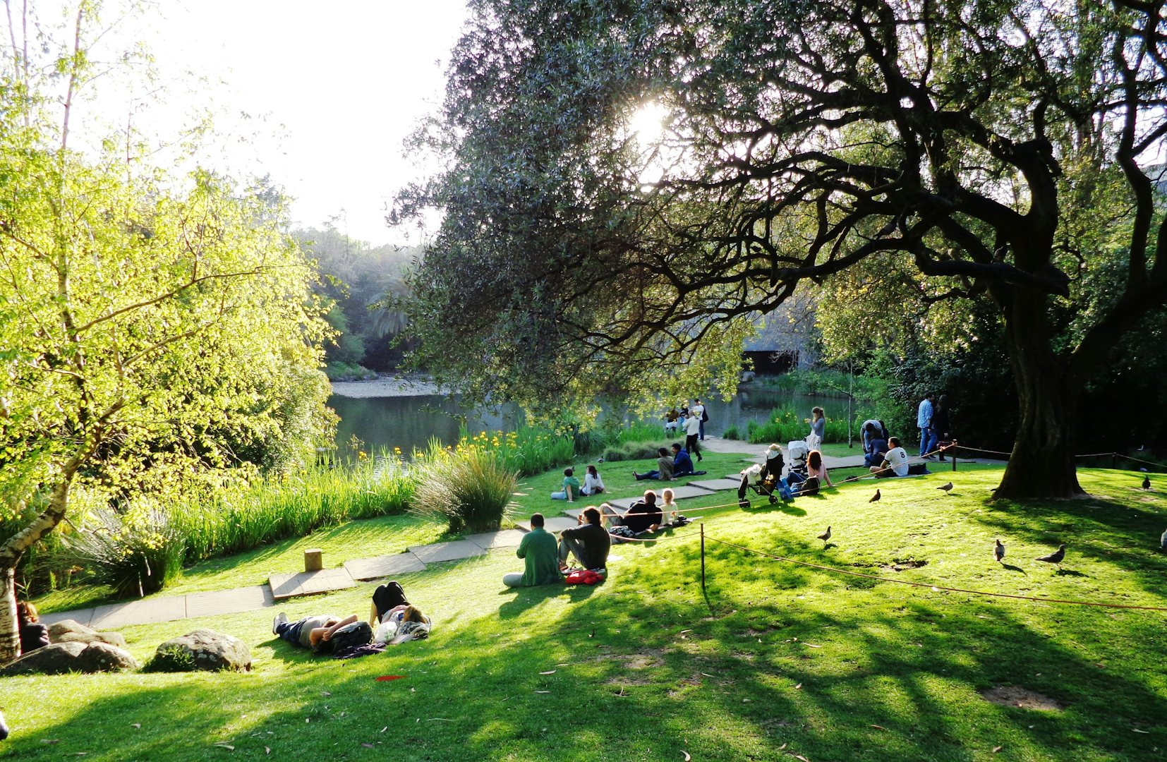 people in the grass at the Jardim Gulbenkian