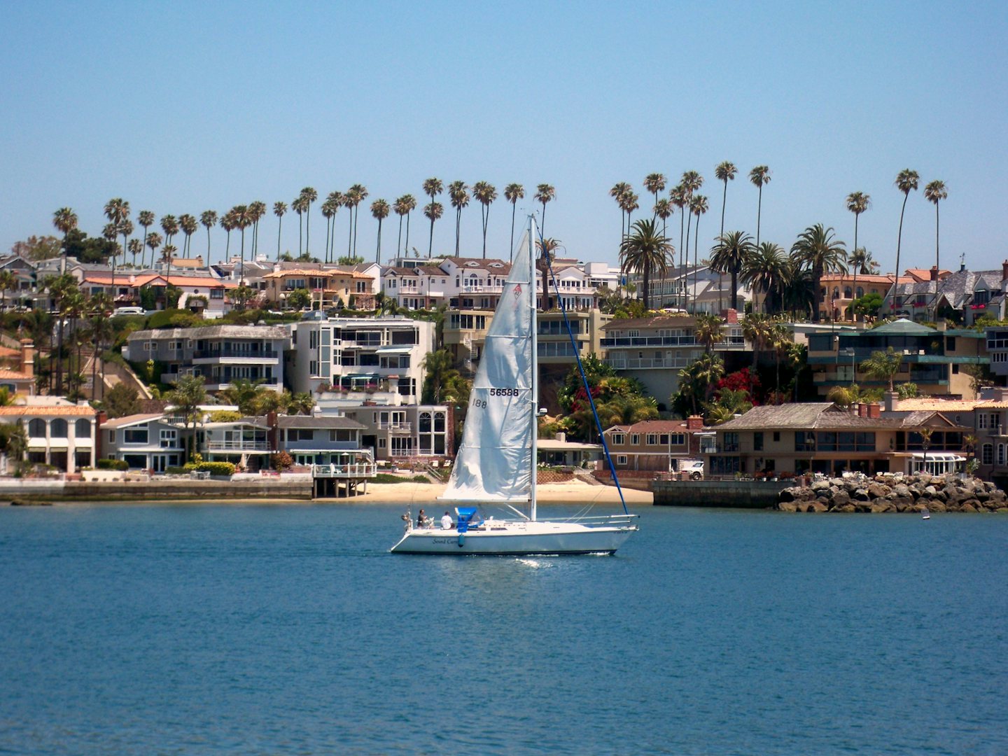 sailboat balboa island