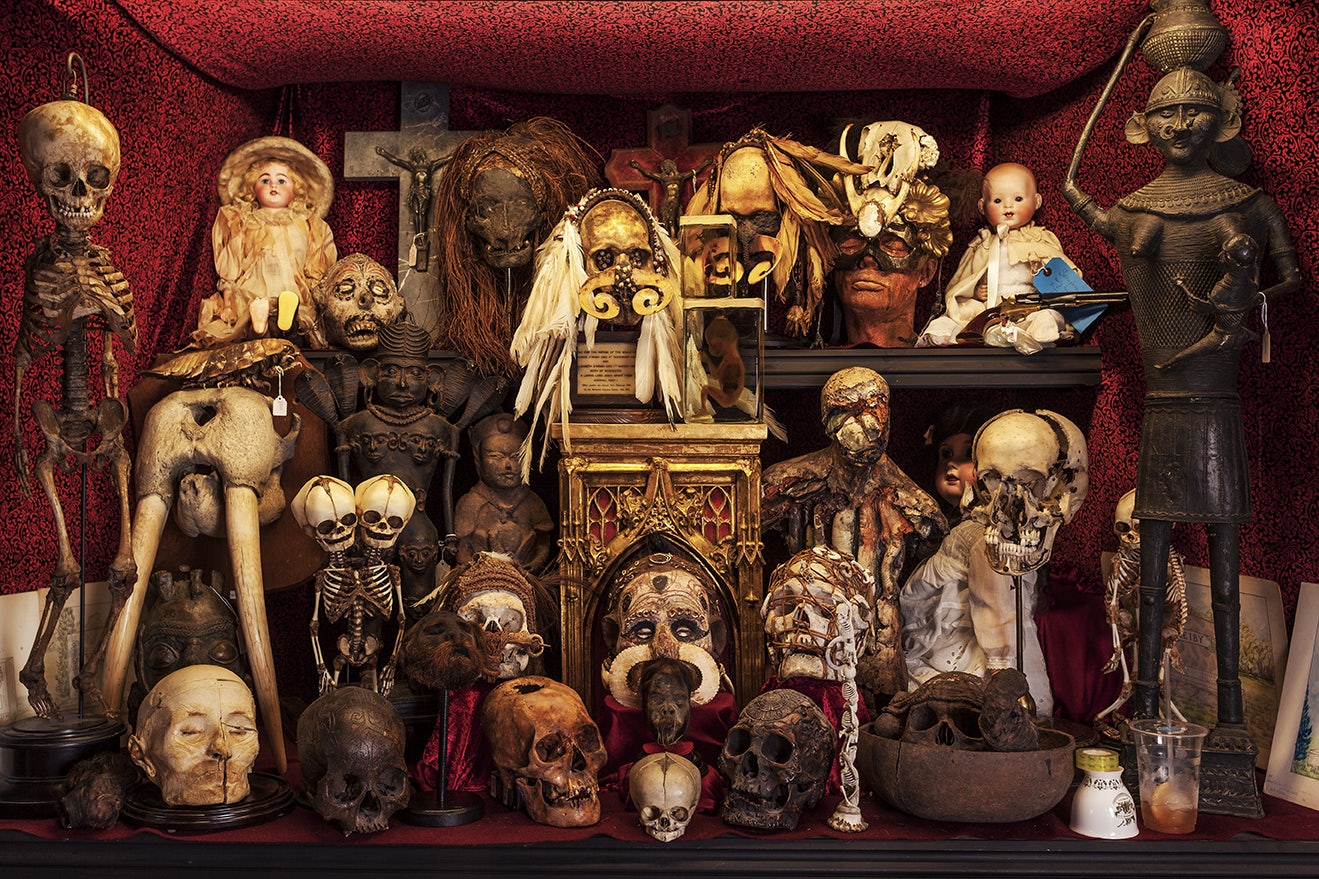 skulls and heads at Viktor Wynd Museum