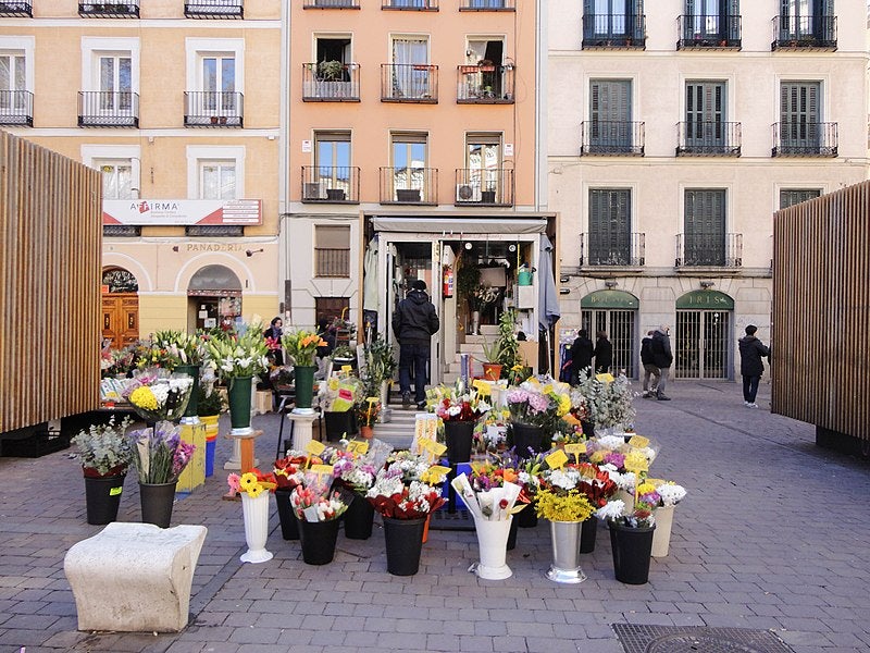 flowers tirso de molina