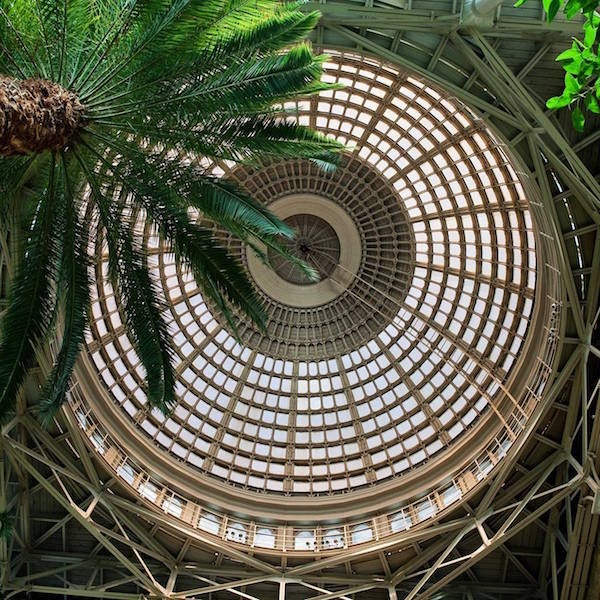 glass ceiling of the café in der glyptothek