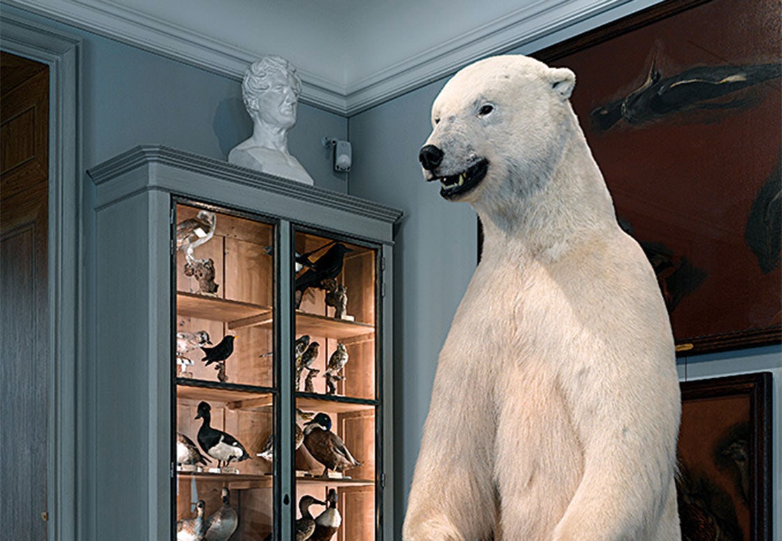 polar bear at Musée de la chasse et da la nature