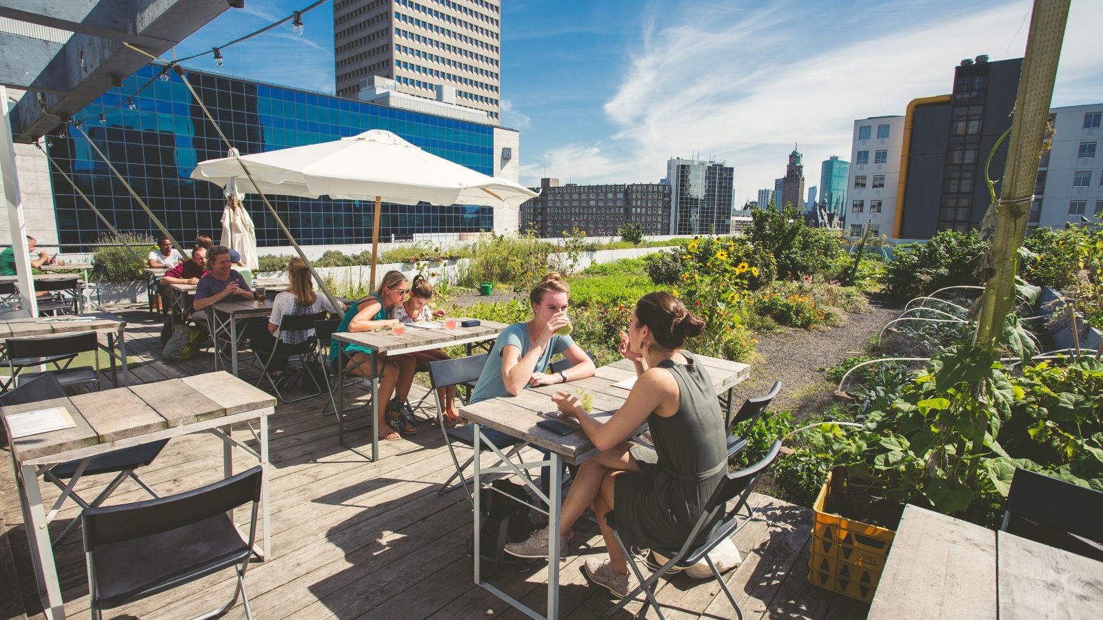 rooftop lunch bar Op het dak