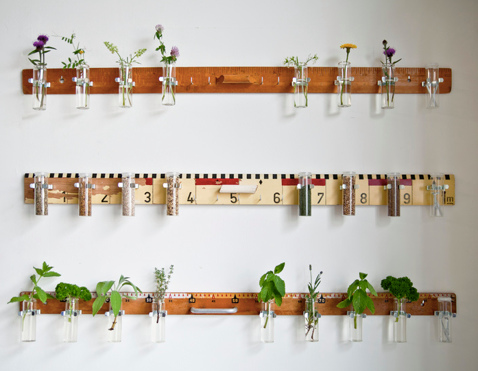 little plants hanging at Collectiv. by Swan