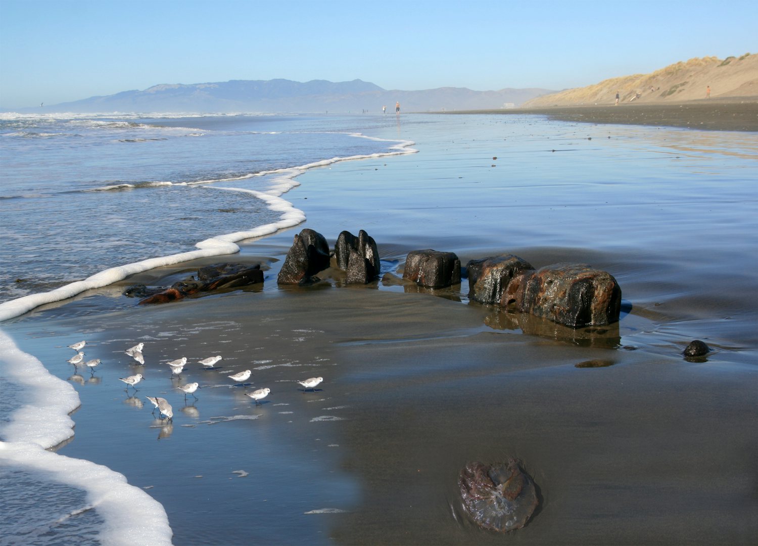 San Francisco - Wreck of the King Philip