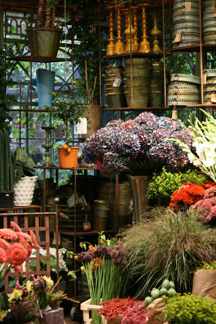 interior flower shop Gullvivan