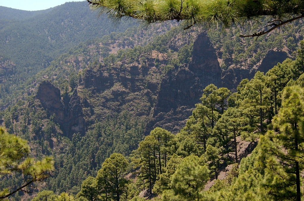 View of Las Lajas area