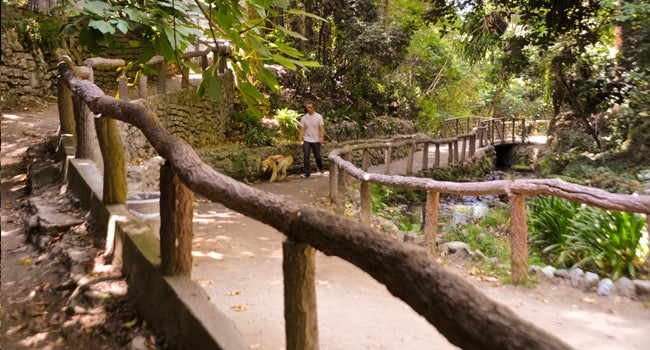 Los Angeles - Fern Dell