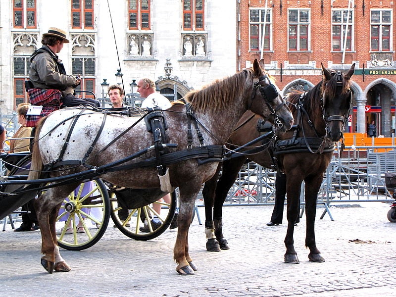 Horses with a carriage in Bruges