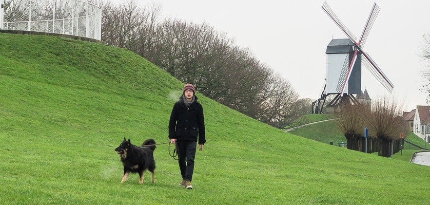 a man walking his dog at the Rampart in Bruges