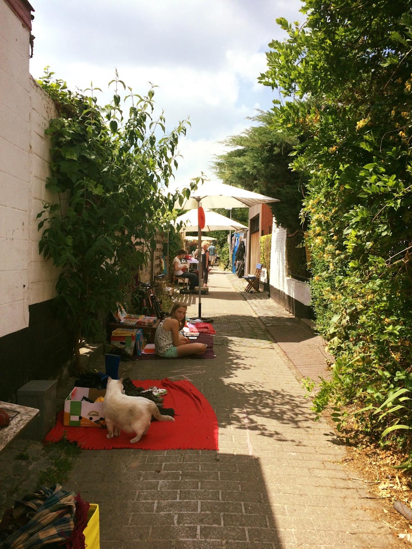 market in the Korhoenstraat 