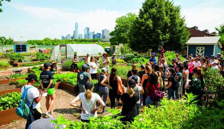 people on a tour at Governors Island