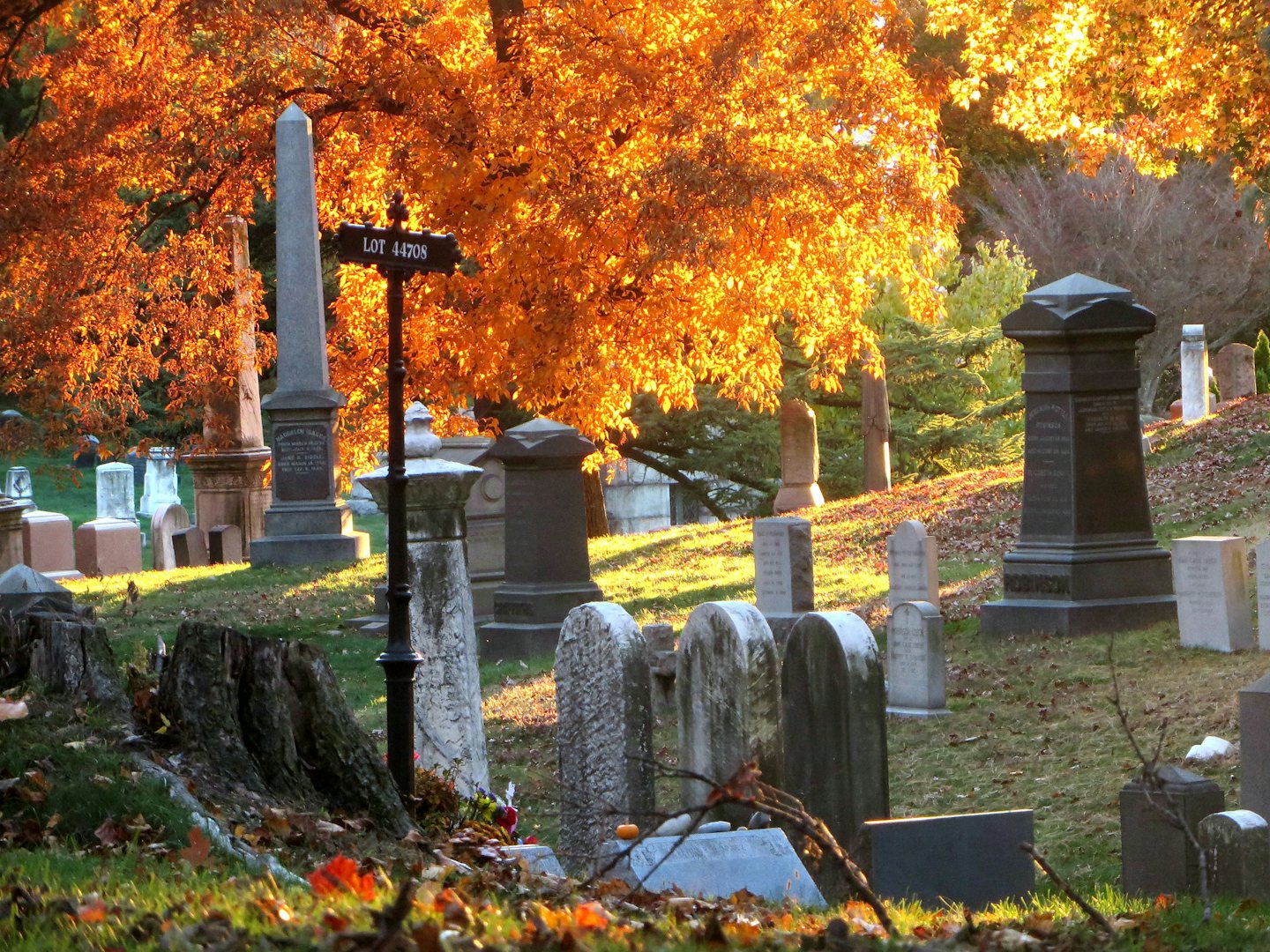 Green-Wood cemetery during autumn
