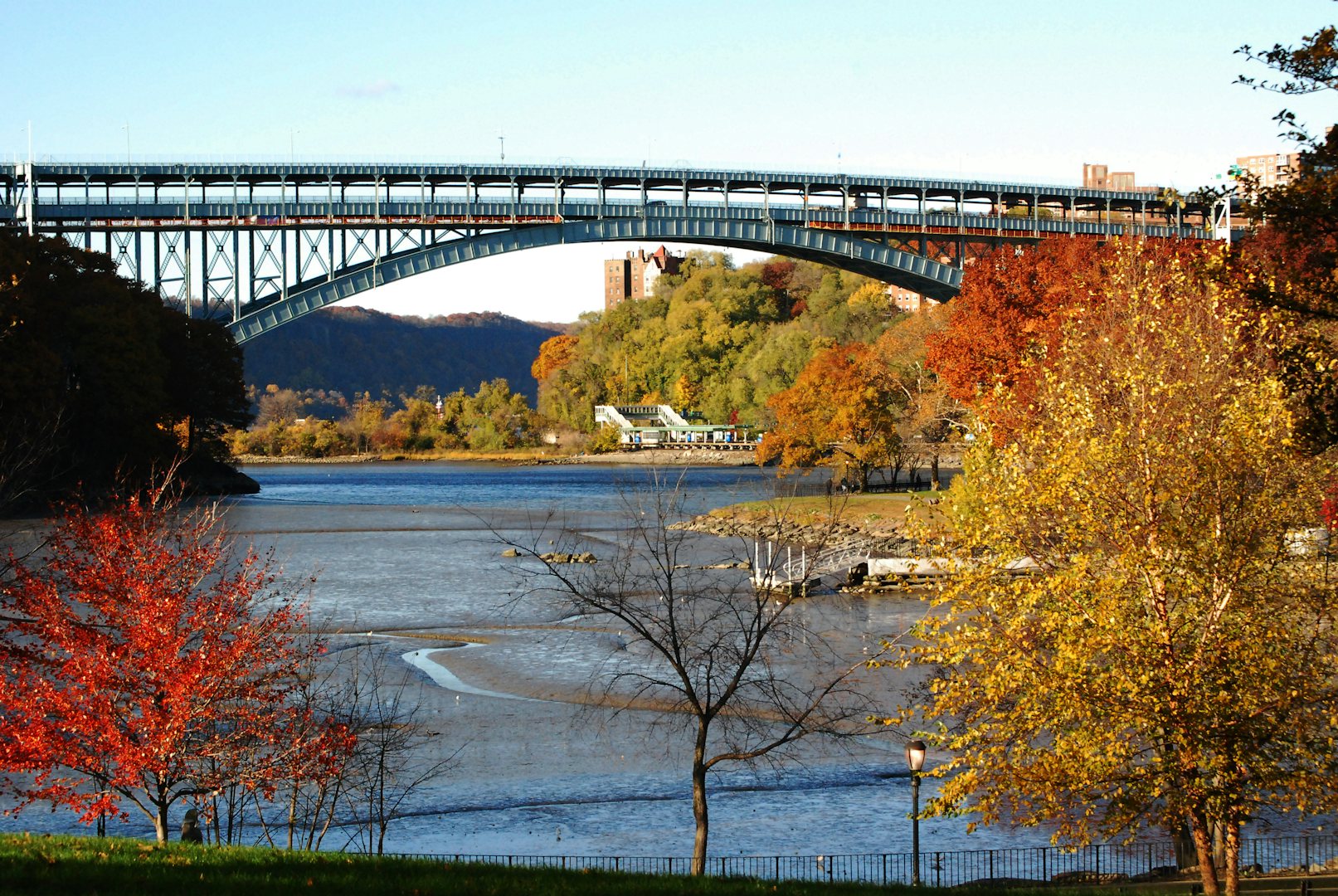 Inwood Hill Park during autumn