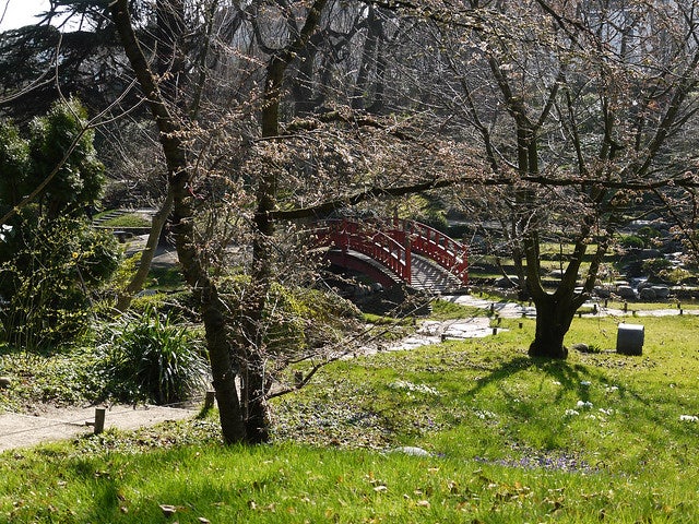 Japanese garden Albert Kahn