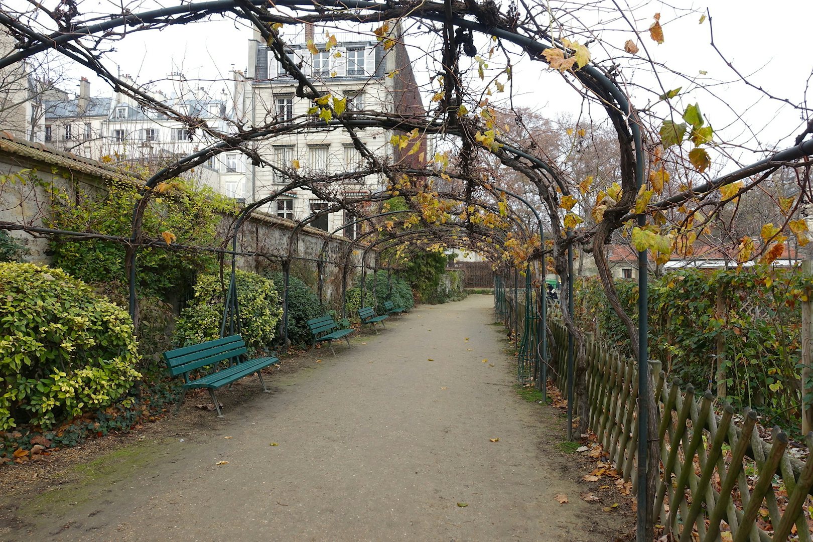  Jardin Catherine Labouré