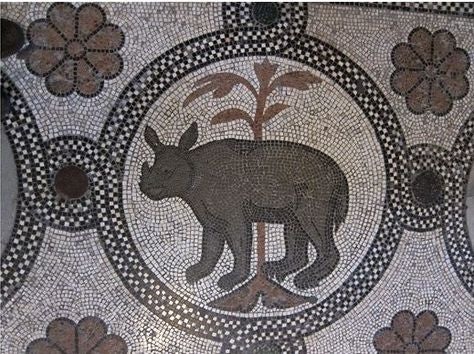 The rhinoceros mosaic in Basilica di San Marco