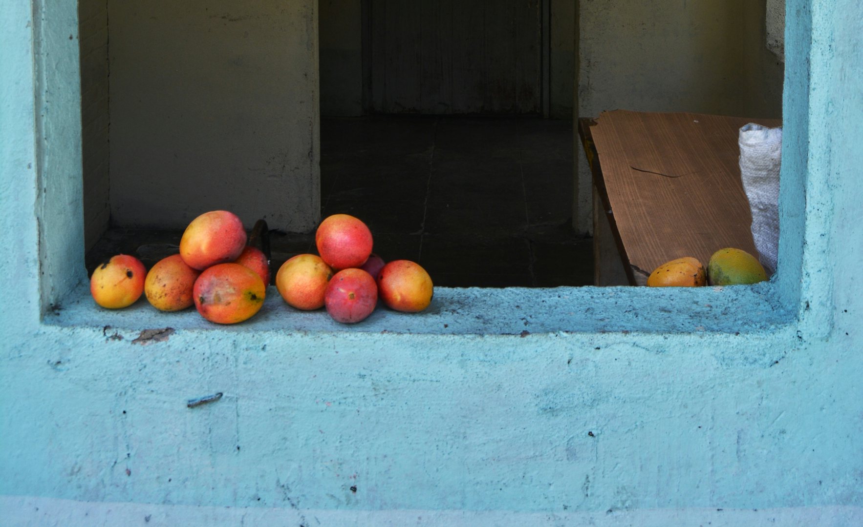 Mangos de Bizcochuelo on a blue wall