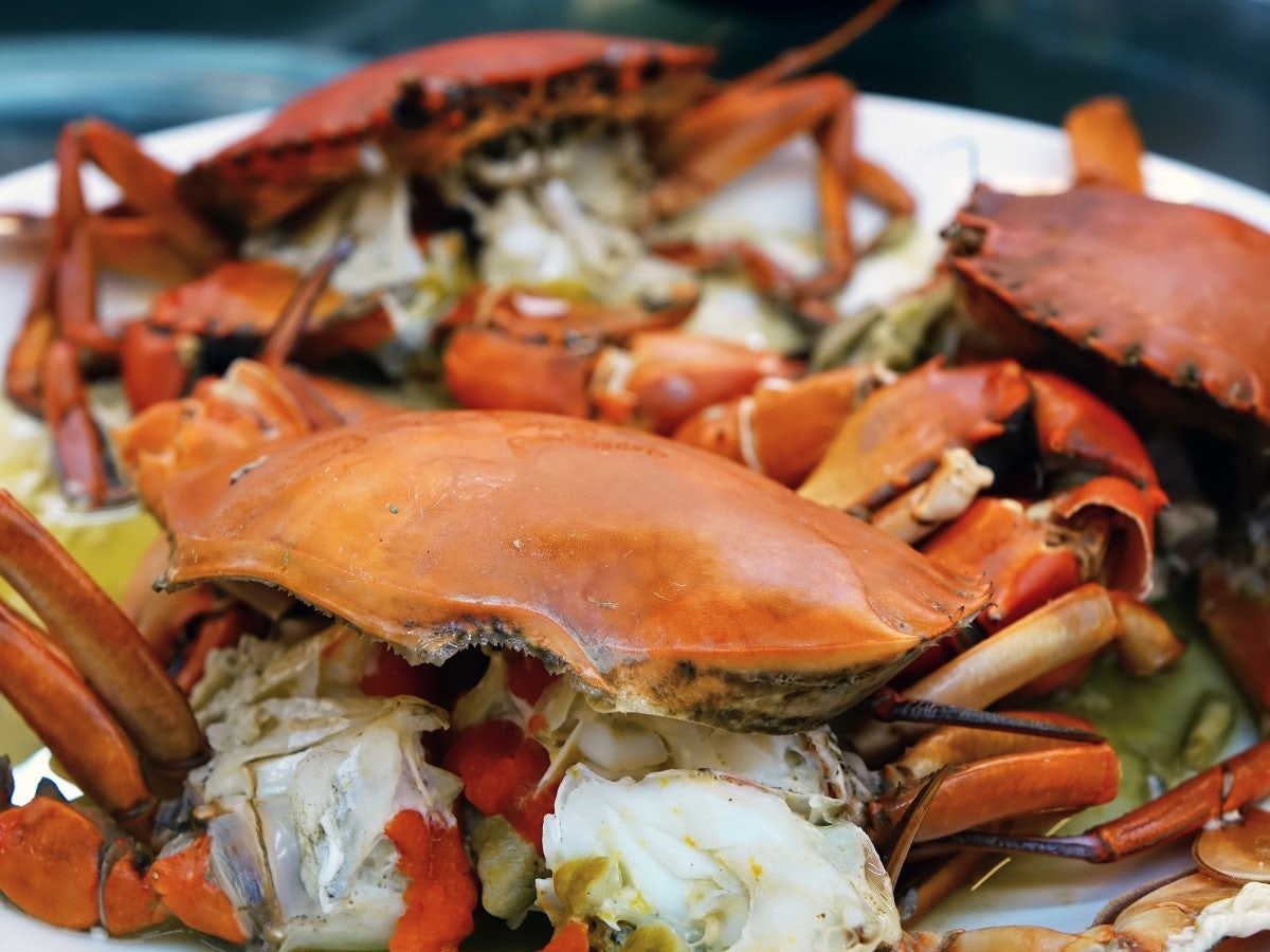 Red Crab
