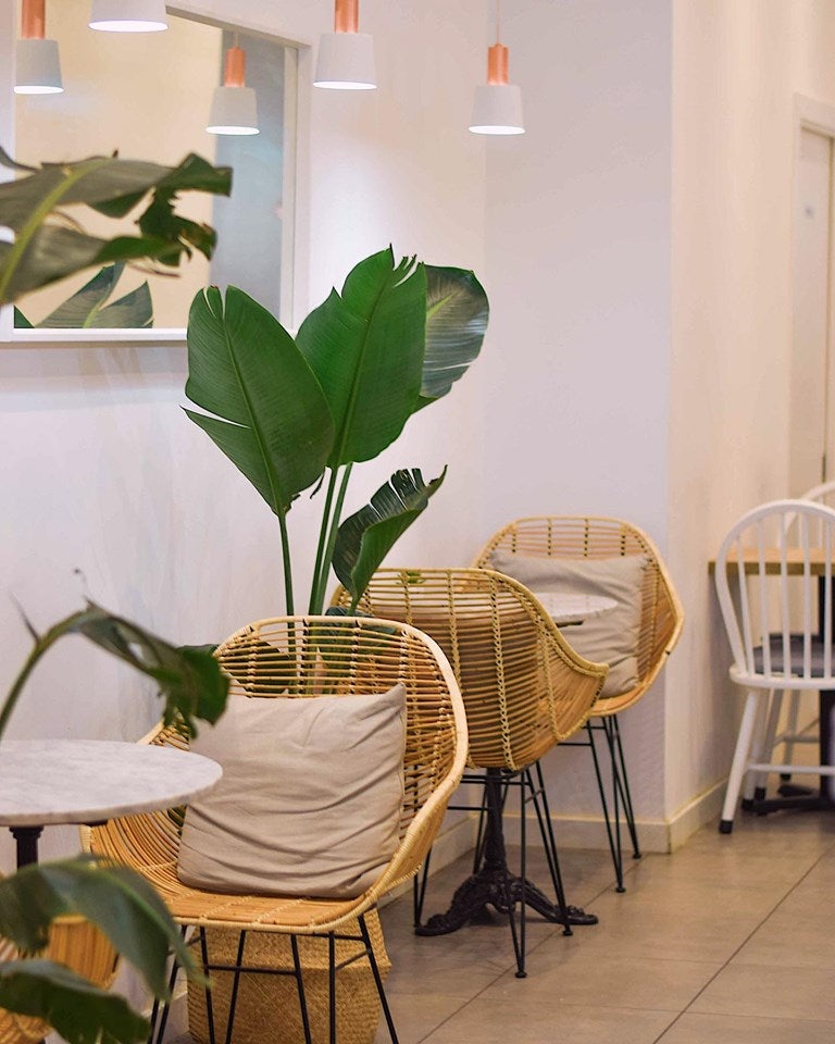 interior of Bing Bing Café with rattan chairs and plants