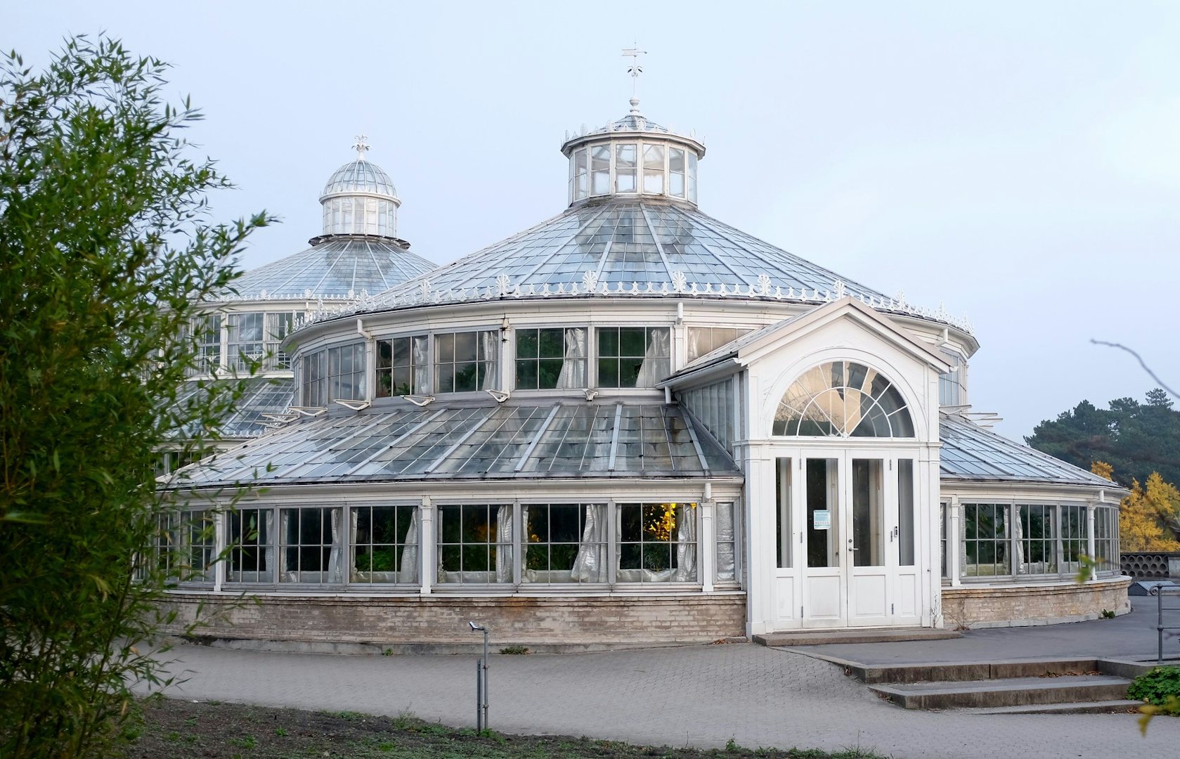 greenhouse at Copenhagen Botanical Gardens