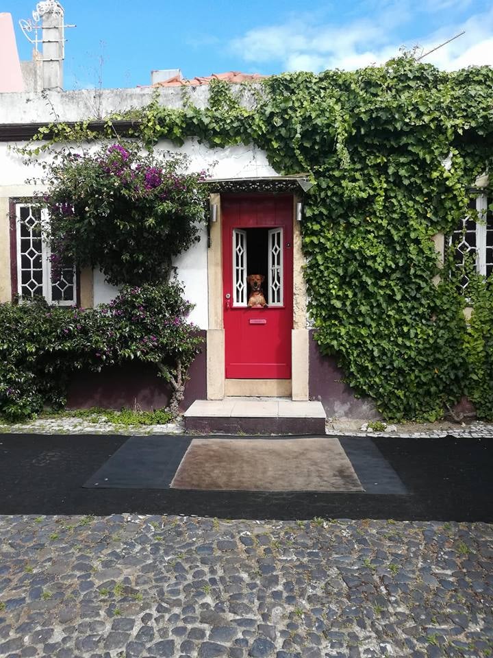 entrance and red door at Procópio bar