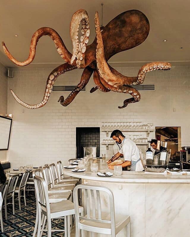 octopus decoration hanging at A Cevicheria restaurant