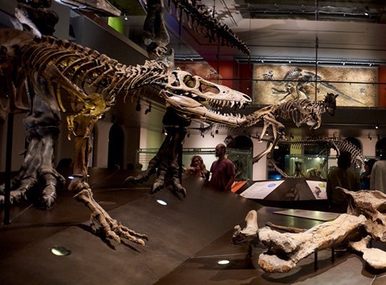 Natural History Museum of Los Angeles