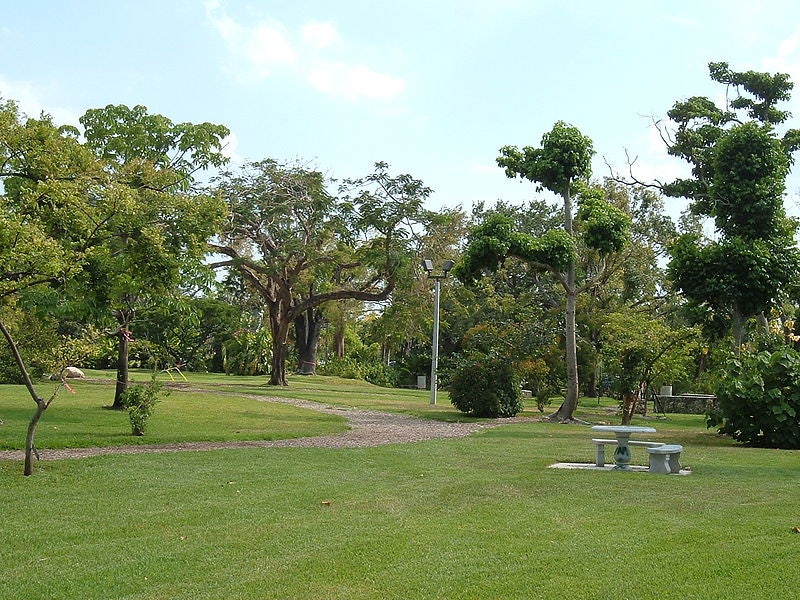 The John C. Gifford Arboretum